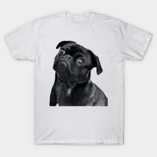 Blcak Cute dog staring at you T-Shirt